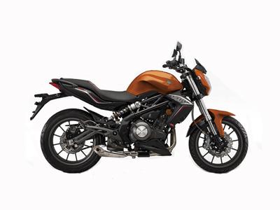 Benelli BN 302