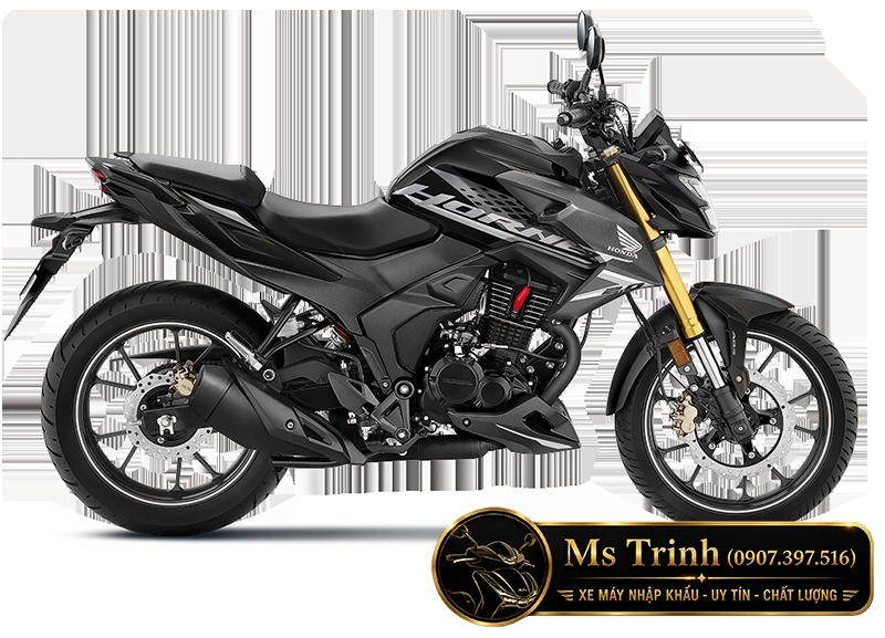 Honda Hornet 2.0 2026 màu đen với tem xám và phuộc USD vàng nổi bật