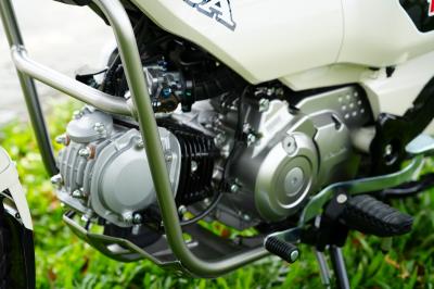 Honda CT125 2025 Trắng Sữa full phụ kiện đồ chơi