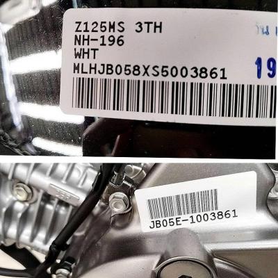 Honda Monkey 125 2025 Chrome Legacy - Huyền Thoại kỹ niệm 60 năm
