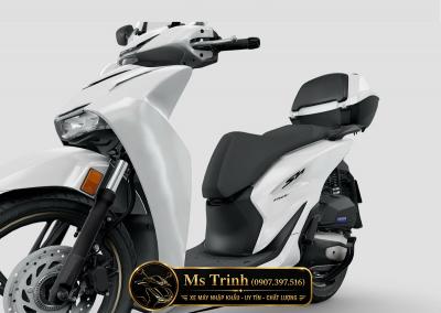 SH150 Ý 2026 Nhập Khẩu Ý 5 Màu Đẹp Nhất – Giá Mới, Xe Có Sẵn Giao Ngay