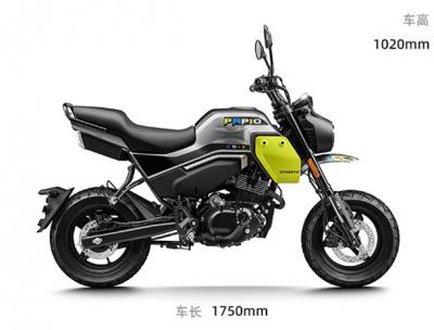 Xe CFMoto Papio 125 XO2 2024 Giá Rẻ, chính ngạch, SIÊU HOT