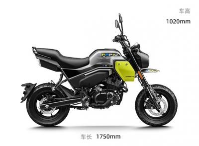 Xe CFMoto Papio 125 XO2 2024 Giá Rẻ, chính ngạch, SIÊU HOT